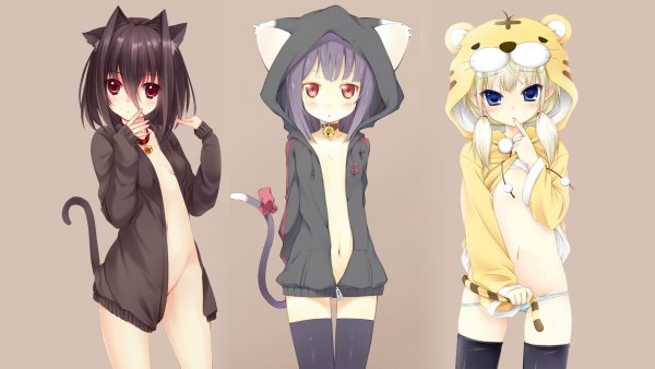 Кошкодевочки Геншин