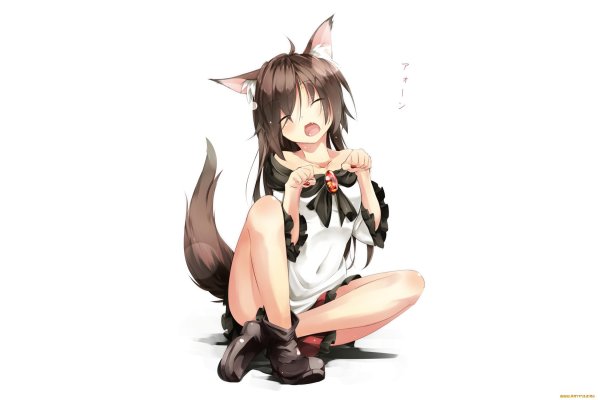 Тохо аниме кошка