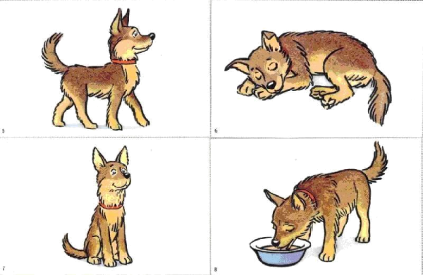 Действия животных