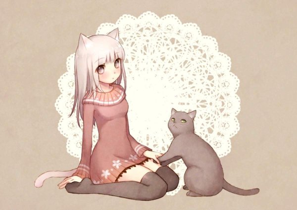 Аниме девушки кошки