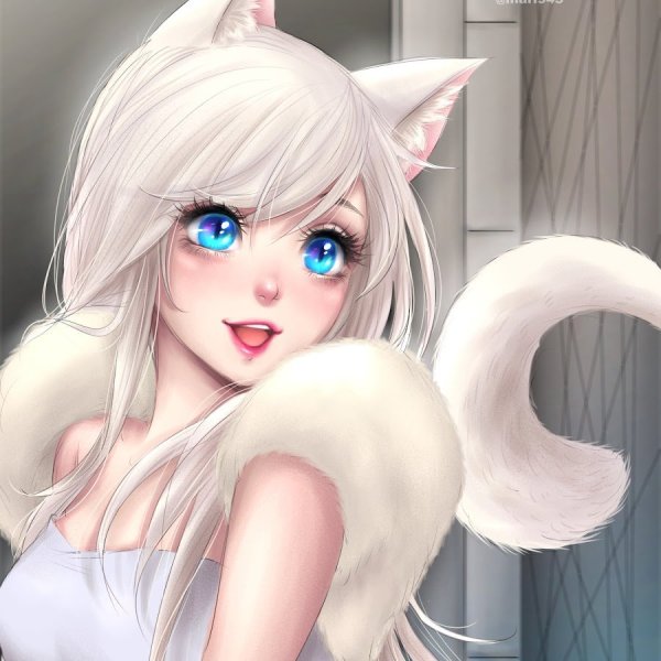Красивые девочки кошечки