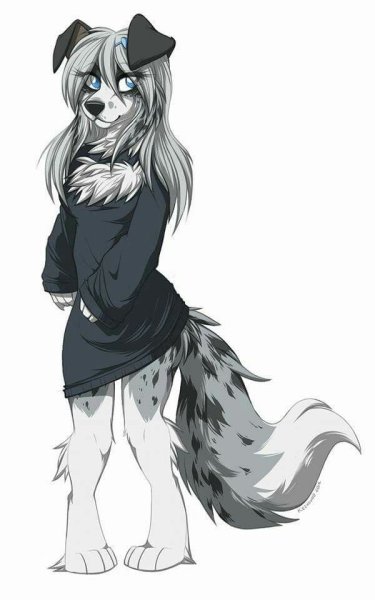 Фурри keihound