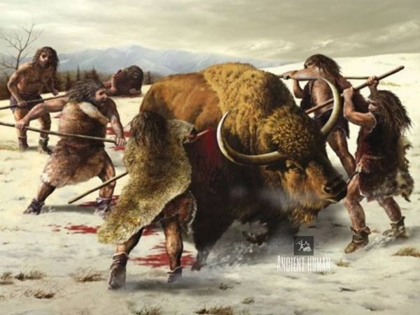 Картинки охота древнейших людей (49 фото)
