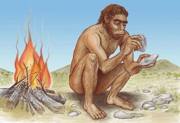 Архантропы (homo Erectus)