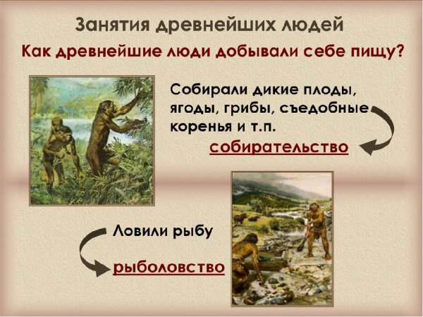 Занятия древних людей охота и собирательство