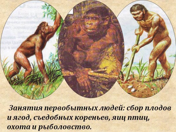 Занятия древних людей