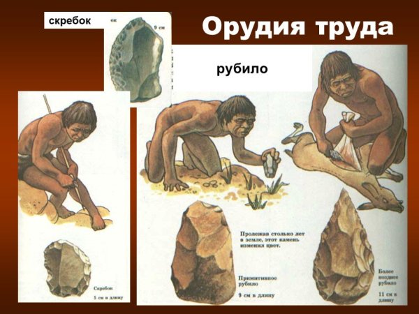Орудия труда первобытного человека