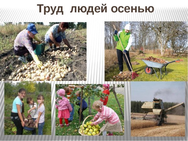 Занятия людей осенью