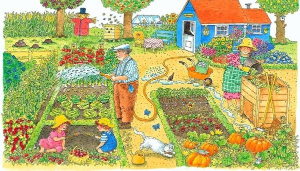 Огород картина для детей