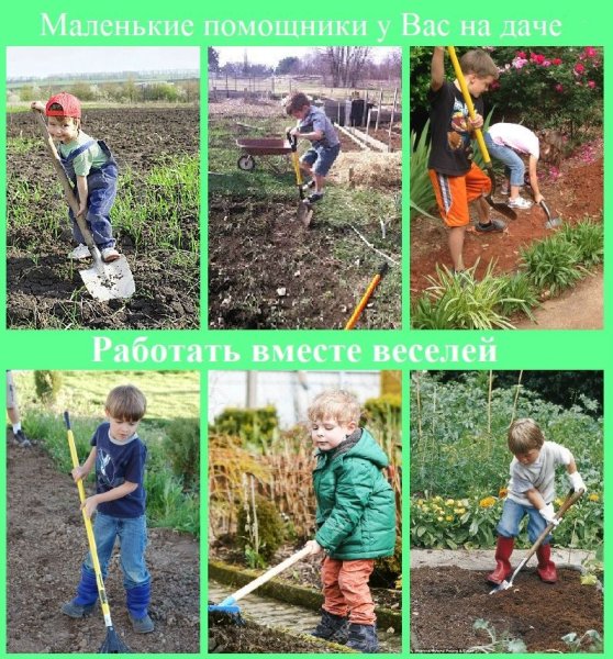 Весенние работы в саду для детей