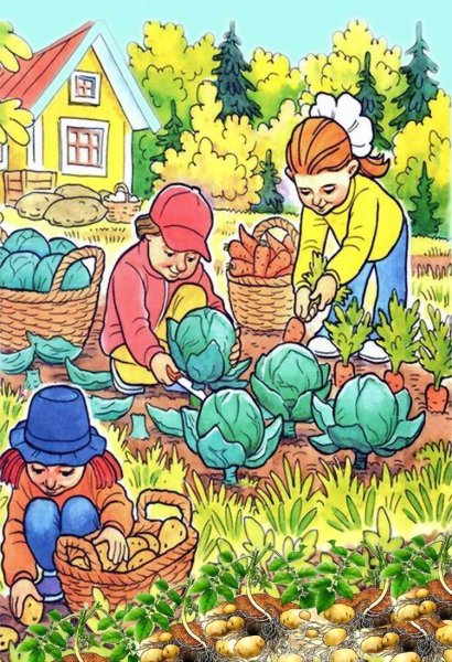 Сбор урожая
