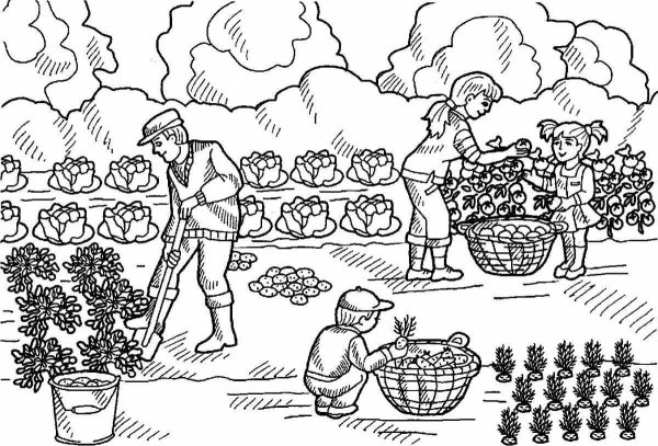 Картинки труд людей в огороде (48 фото)