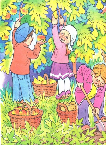 Уборка урожая для детей