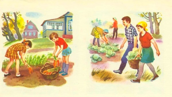 Уборка урожая для детей