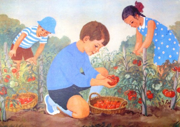 Сбор урожая для детей