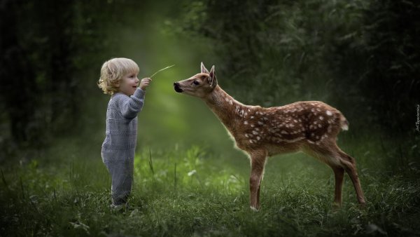 Дети природа животные