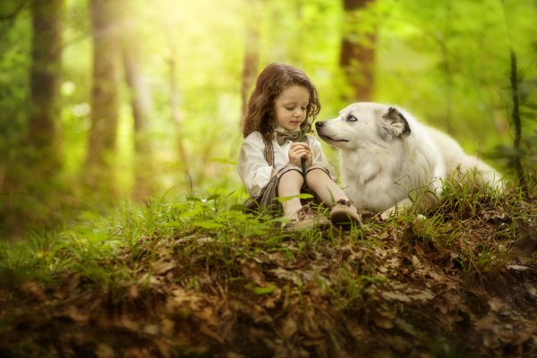 Девушка с собакой в лесу
