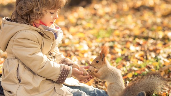 Дети с животными осень