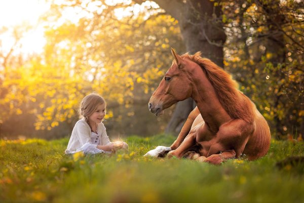 Ребенок рядом с лошадью
