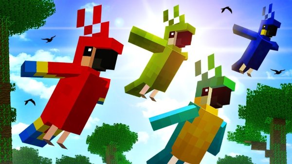 Minecraft попугай