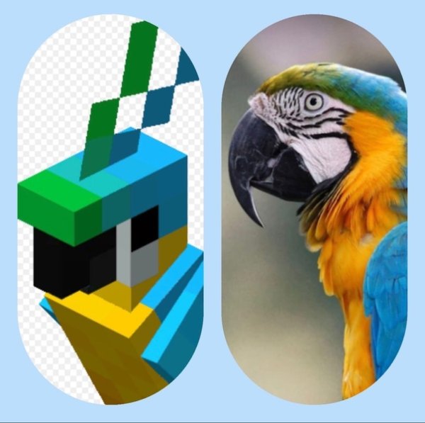 Рисунки попугай из майнкрафта (42 фото)