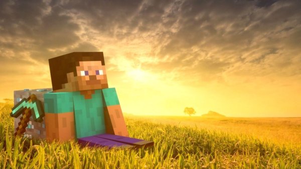 Minecraft Стив в поле