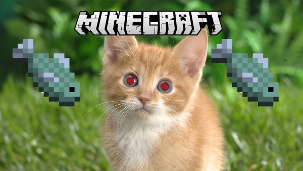 Коты из МАЙНКРАФТА