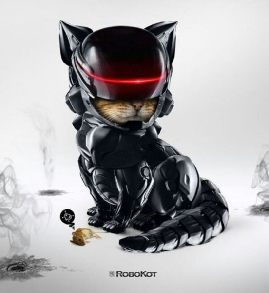 Коты киборги