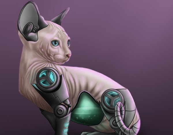 Которобот NECORO