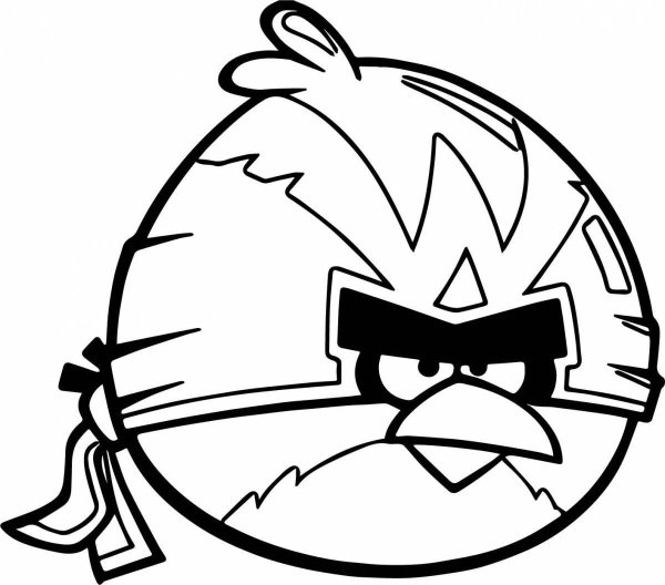 Angry Birds раскраска Теренс