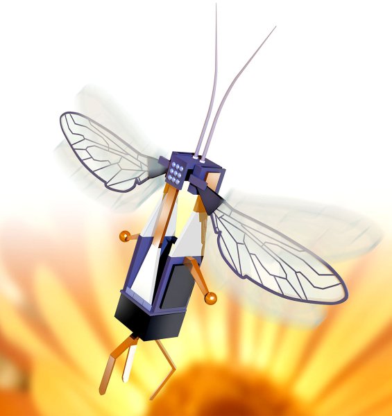 ROBOBEE (Гарвардский университет)