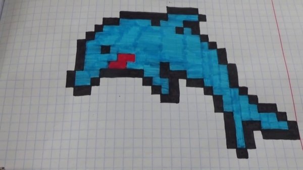 Нарисовать дельфина из МАЙНКРАФТА