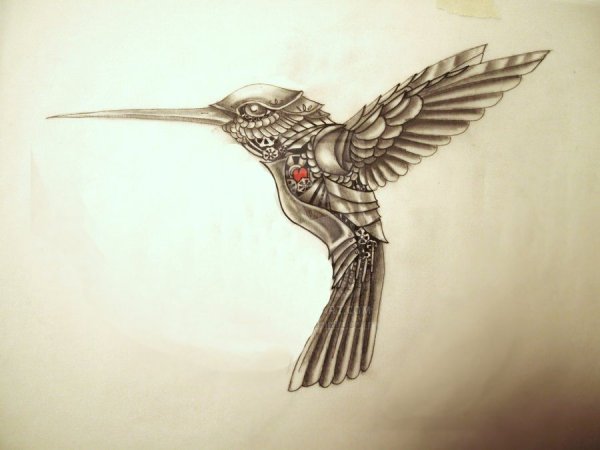 Рисунки робот птица (46 фото)