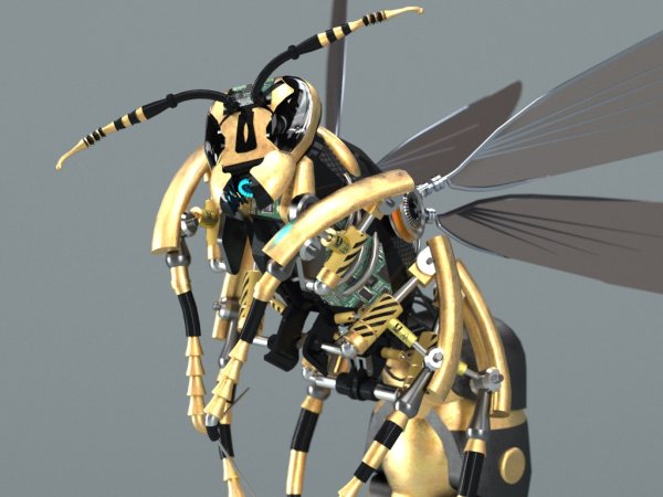 Wasp модель