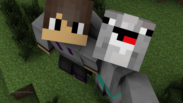 Скины Minecraft animation