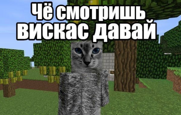 Вискас майнкрафт