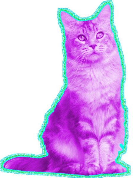 Розовый котик