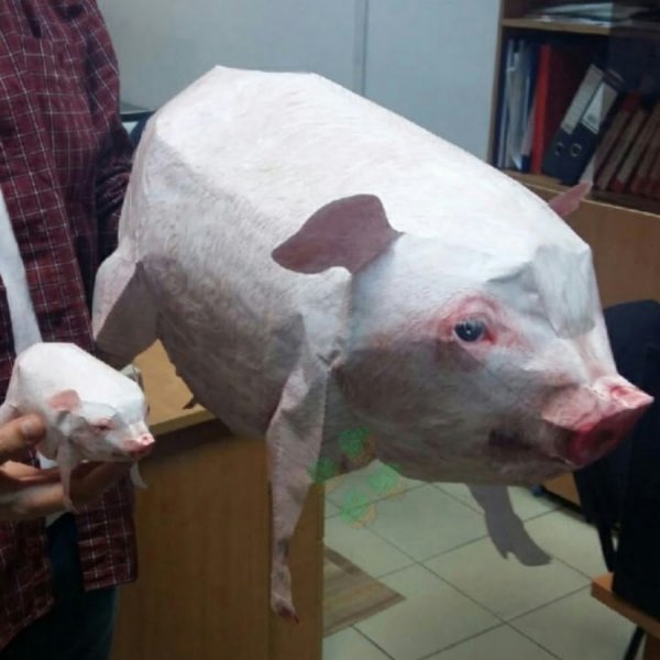 Золотая морковь майнкрафт