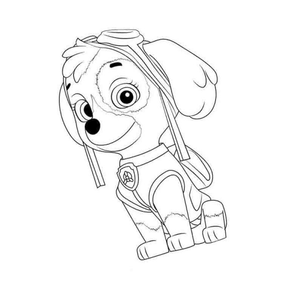 Paw Patrol раскраска Скай