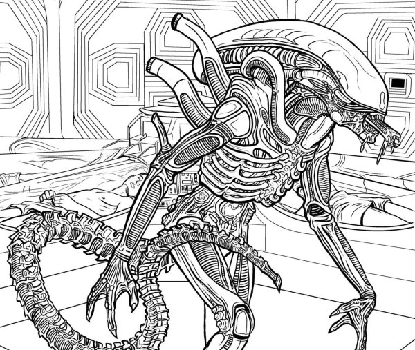 Xenomorph Alien чертеж
