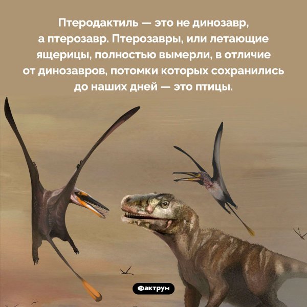 Птерозавры Юрского периода