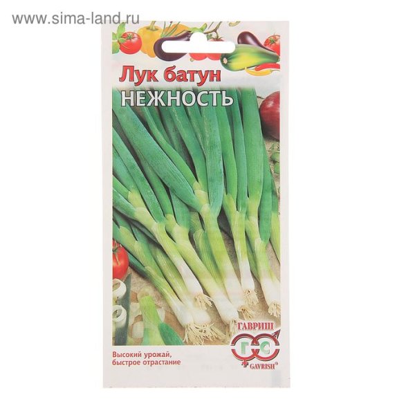 Лук батун нежность (1г)