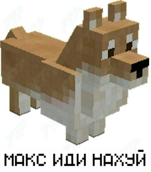 Собака корги майнкрафт