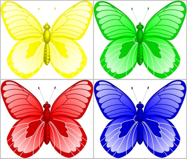 Бабочки разных цветов