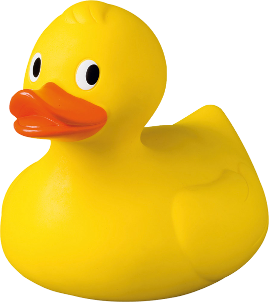 Ducky утка