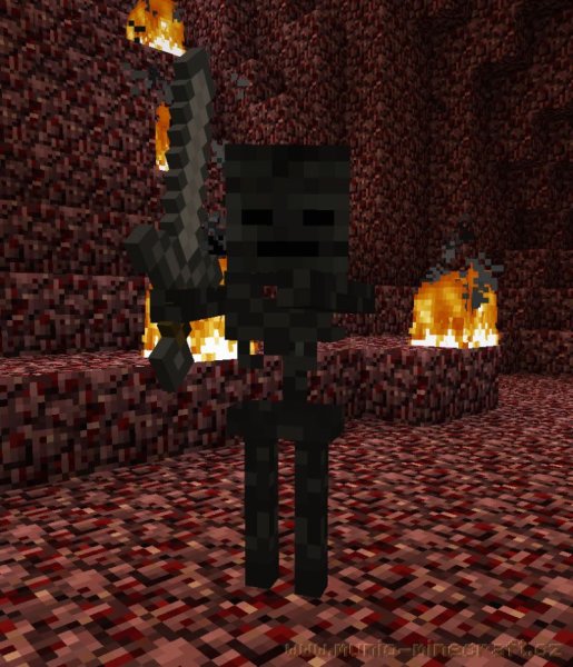 Minecraft скелет ИССУШИТЕЛЬ
