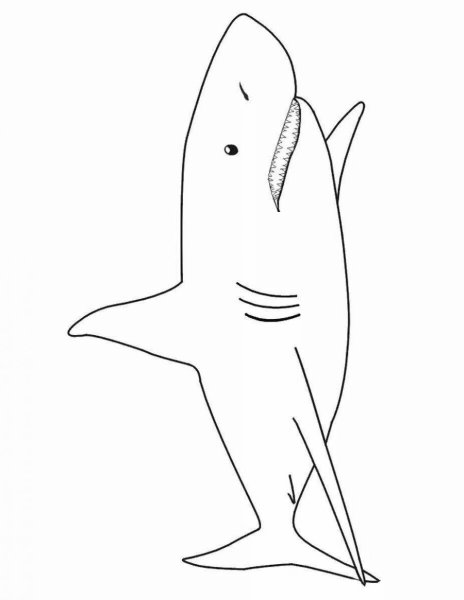 Акула из Икеи рисунок