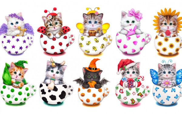 Котики в кружках