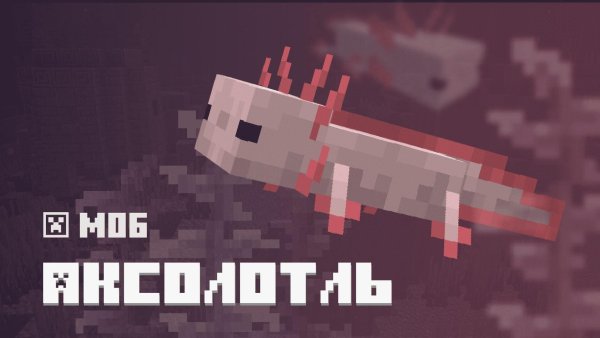 Аксолотль Minecraft 1.17