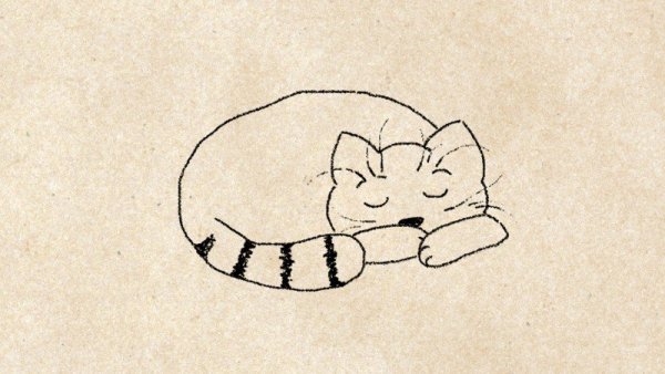 Котик рисунок